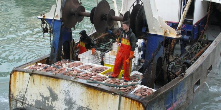Agreement has not been reached this year between the UK and France on access to scallop grounds and day sat sea - @ Fiskerforum