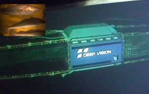 Deeo Vision is a candidate for the Nor-Fishing Innovation Award - @ Fiskerforum