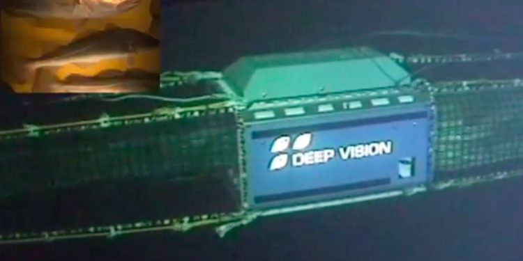 Deeo Vision is a candidate for the Nor-Fishing Innovation Award - @ Fiskerforum