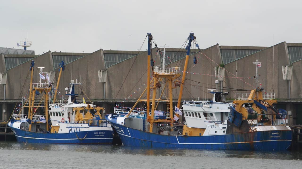 Read more about the article EU and UK agreement on 2022 fishing opportunities