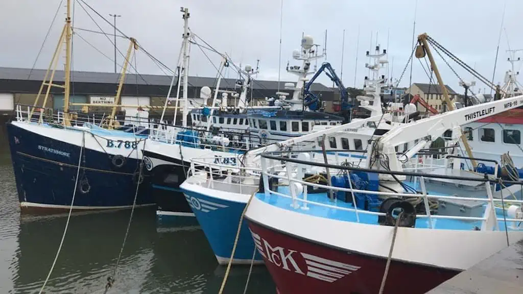 Read more about the article Improving safety, welfare and supply chain transparency for Northern Ireland’s fisheries