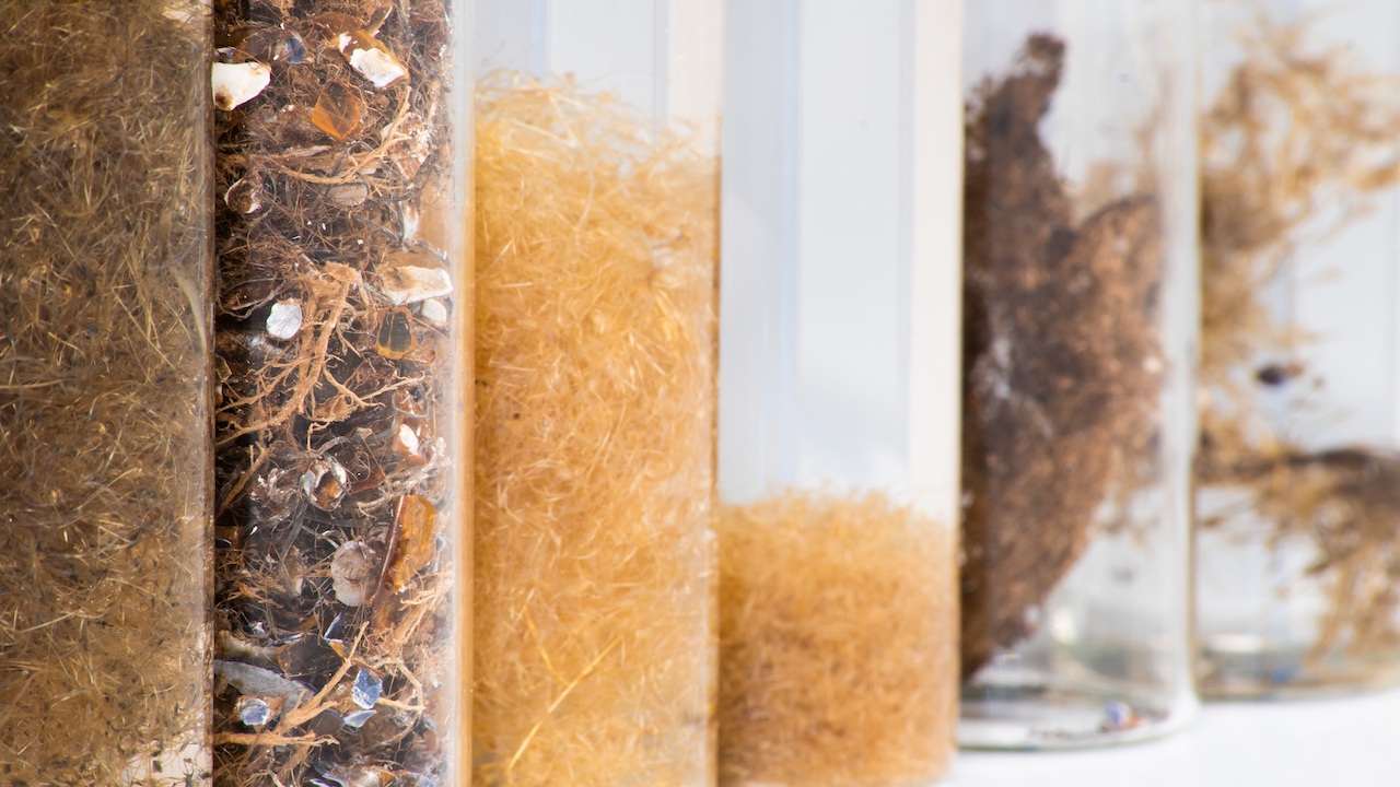 Read more about the article Seawool startup seizes opportunity to get closer to Scotland’s natural resources and bioeconomy