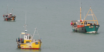 Fisheries and Seafood Scheme funding hits three-month milestone