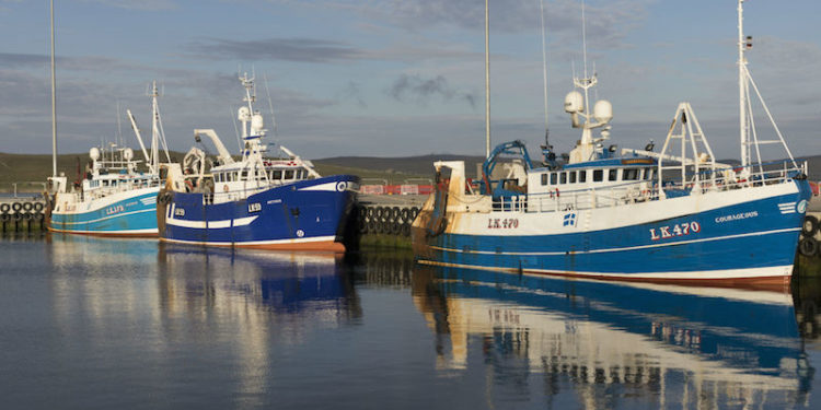 Shetland is the second biggest port in the UK for whitefish landings after Peterhead - @ Fiskerforum