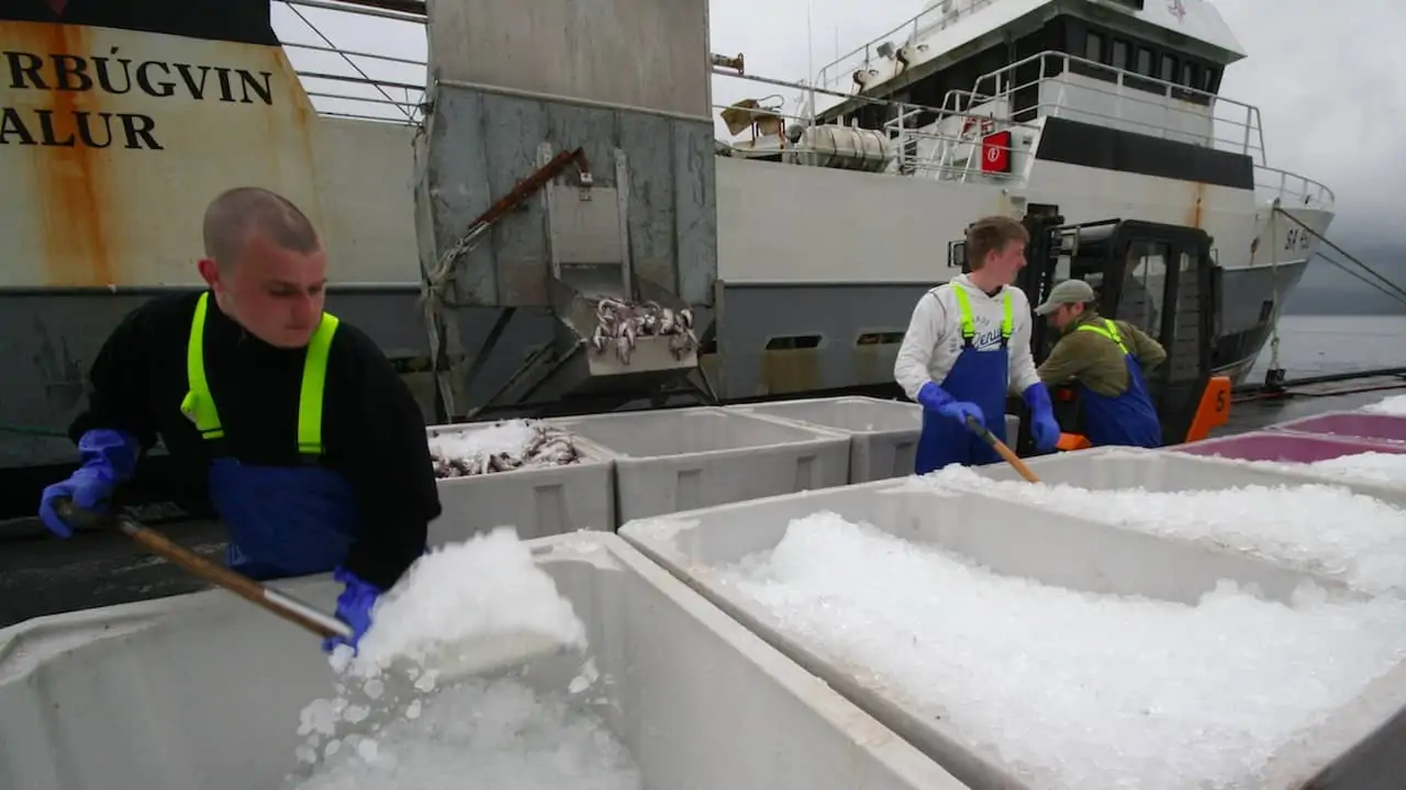 Read more about the article Faroese seafood exports up