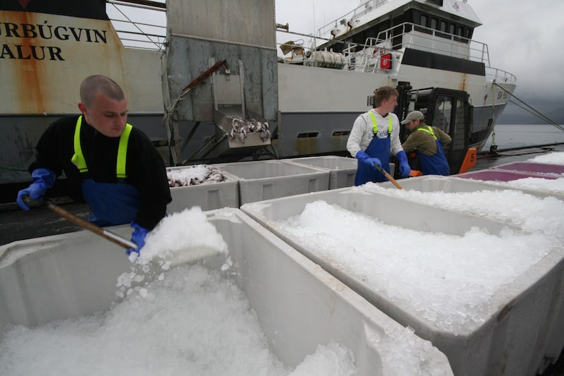 Read more about the article Faroese fisheries reform bill goes to parliament