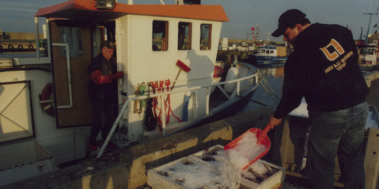 Landing Baltic cod - @ Fiskerforum