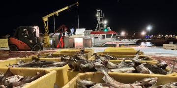 Cod proposal from Iceland’s small boat owners