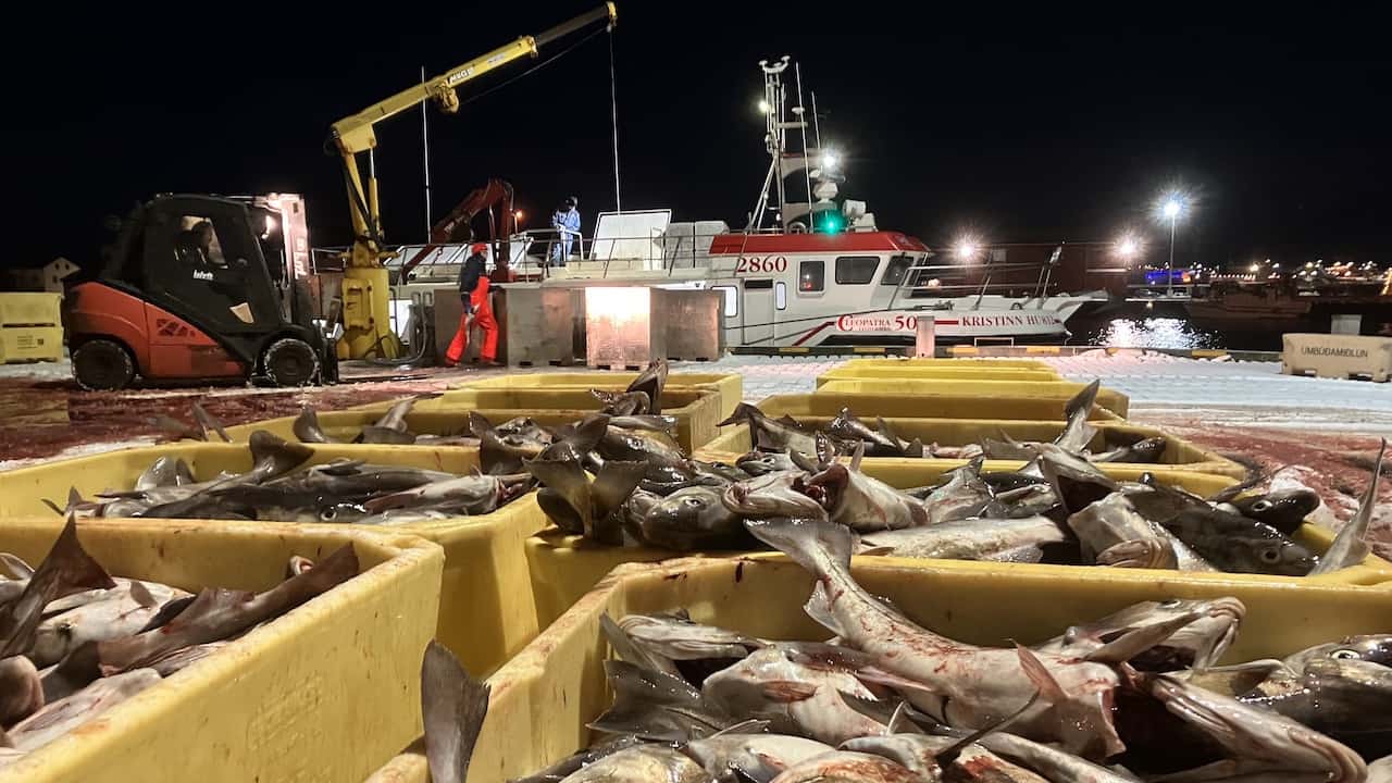 Read more about the article Iceland’s new fisheries bill in preparation