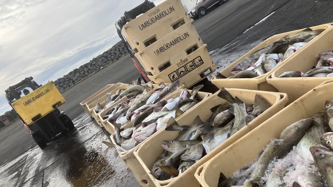 Read more about the article Too much – or not enough?