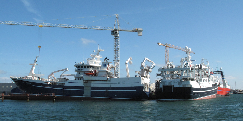 Read more about the article Busy 2025 strengthens Skagen’s position