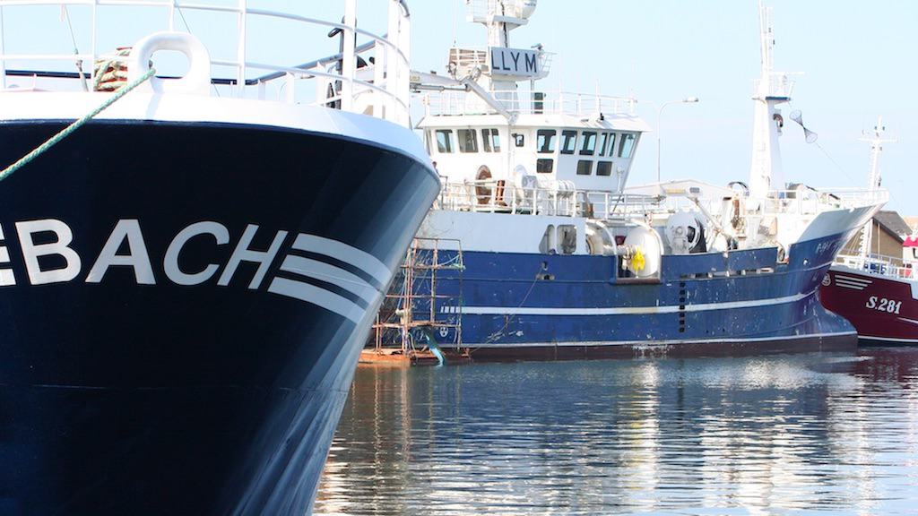 Read more about the article Denmark puts funding into sustainability development