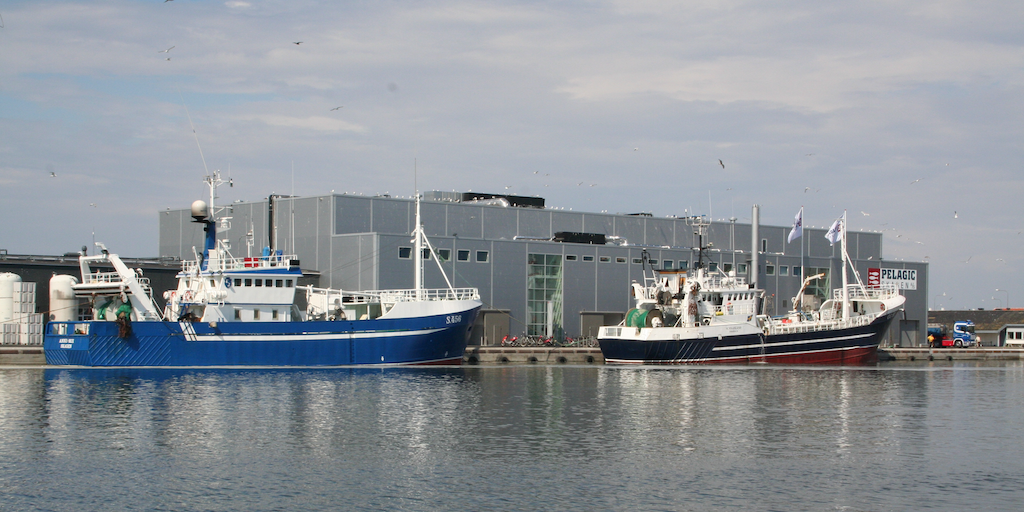Read more about the article Skagen tops the list as Denmark’s leading fishing port