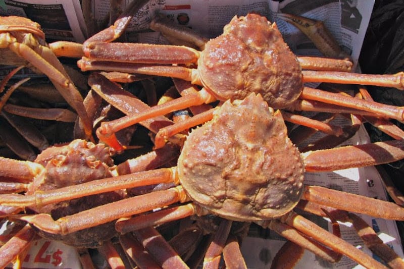 Read more about the article EU snow crab fishermen illegally excluded by Norway