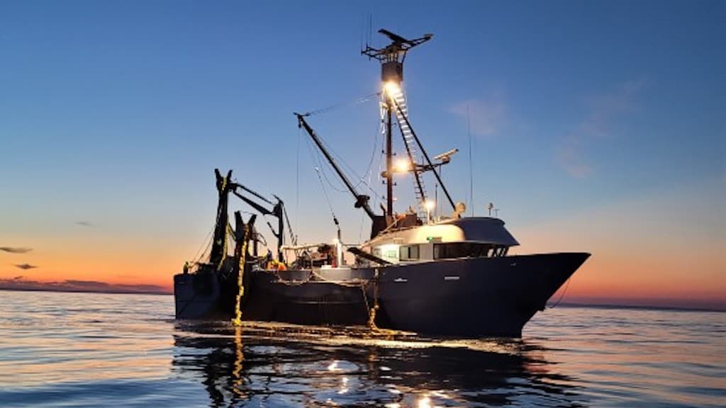 Read more about the article Support for South Australia’s scalefish fishery