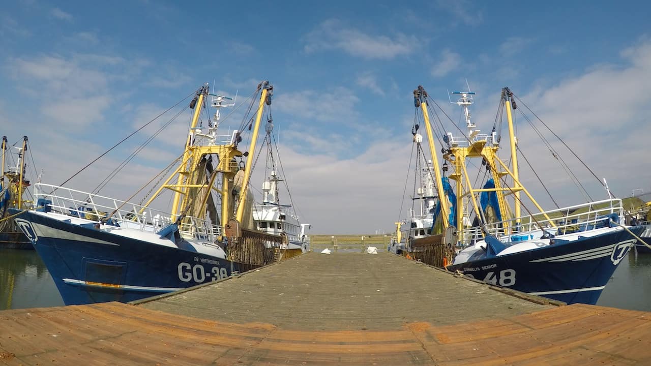 Read more about the article Mobilise to reject Commission’s action plan