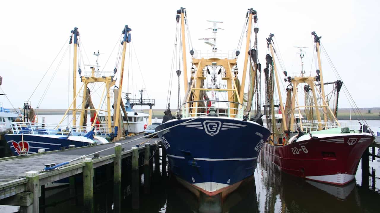 Read more about the article Europe selling out its fishermen, says Dutch industry
