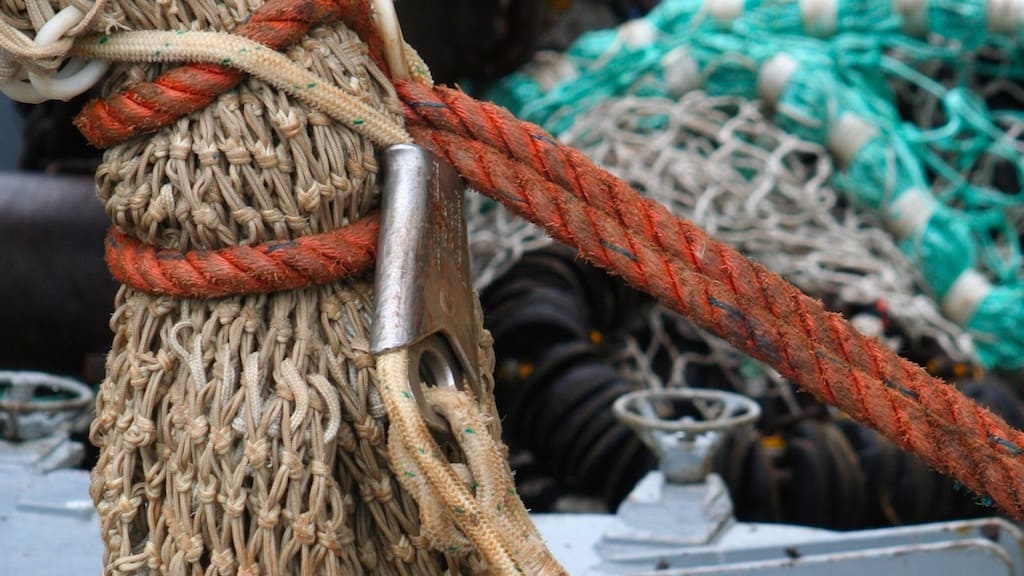 Read more about the article Denmark cracks down on fishing offences