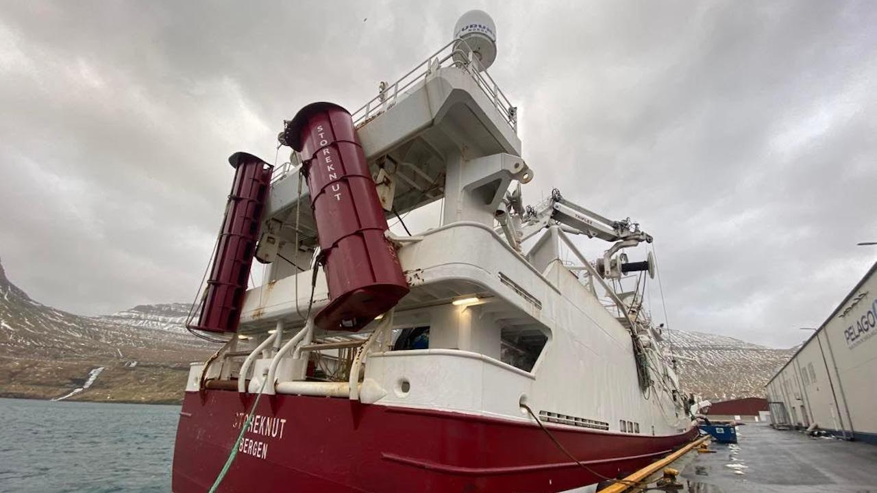 Read more about the article Try them once – and there’s no going back