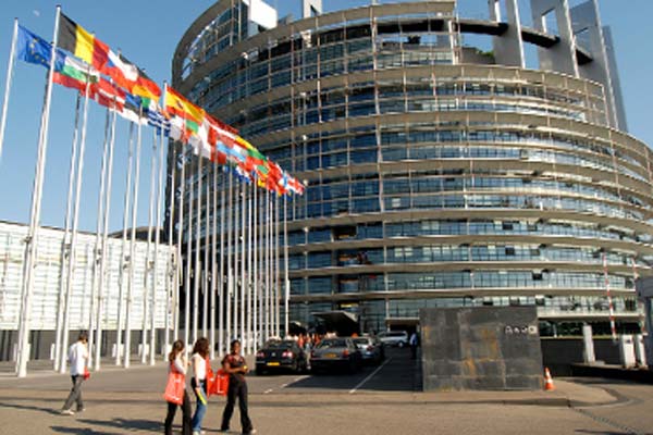 Read more about the article Plenary session of the Parliament in Strasbourg