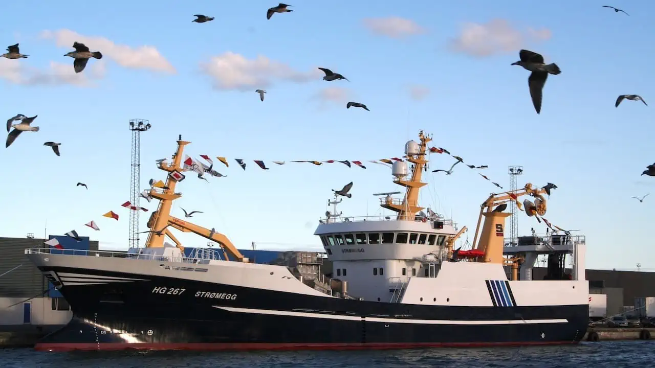 Read more about the article South America shows Europe how to manage its fisheries