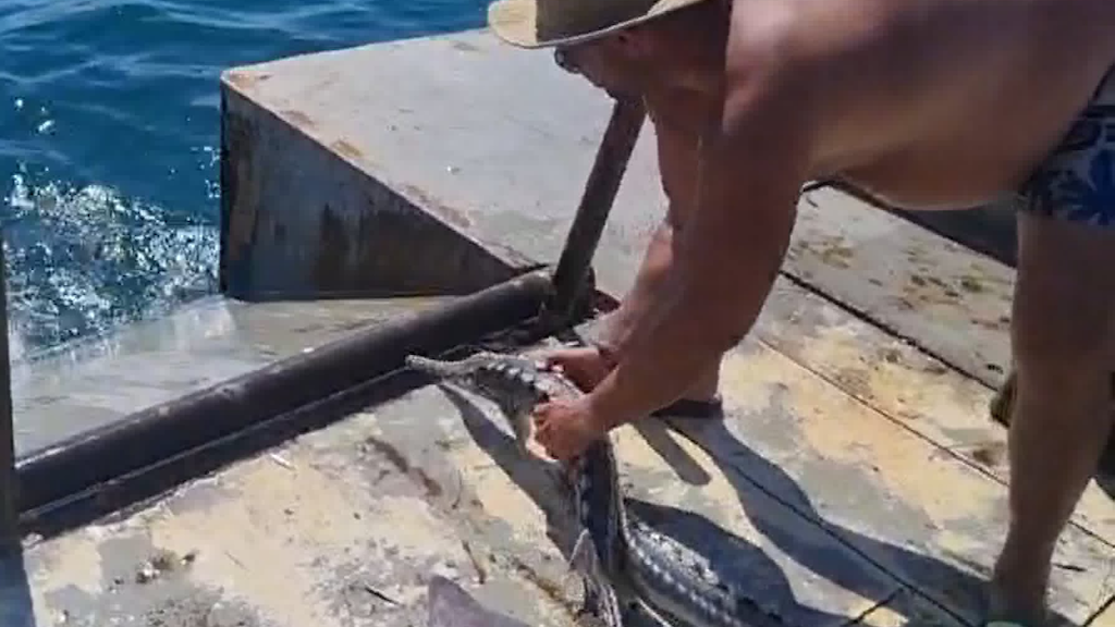 Read more about the article 2025 award for Black Sea sturgeon saviours