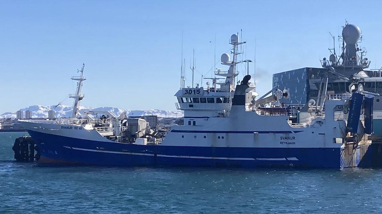 Read more about the article Time for mackerel agreement? suggests Icelandic seamen’s union