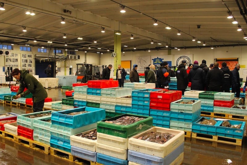 Read more about the article Tech helps keep fishing businesses afloat in Sweden