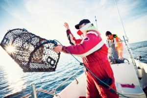 Shooting a lobster pot - @ Fiskerforum