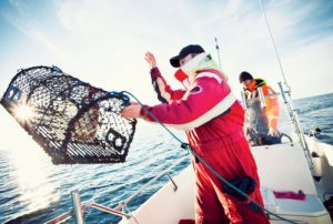 Shooting a lobster pot - @ Fiskerforum