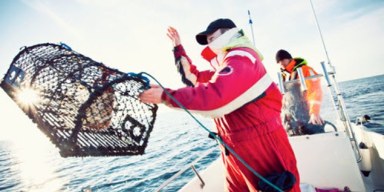 Shooting a lobster pot - @ Fiskerforum