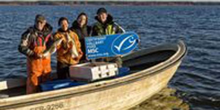Swedish freshwater fishery gains international recognition.  Photo: MSC - @ Fiskerforum