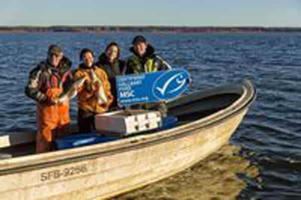 Read more about the article Swedish freshwater fishery gains international recognition