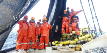 Anchovy fishery underpins world fishmeal business