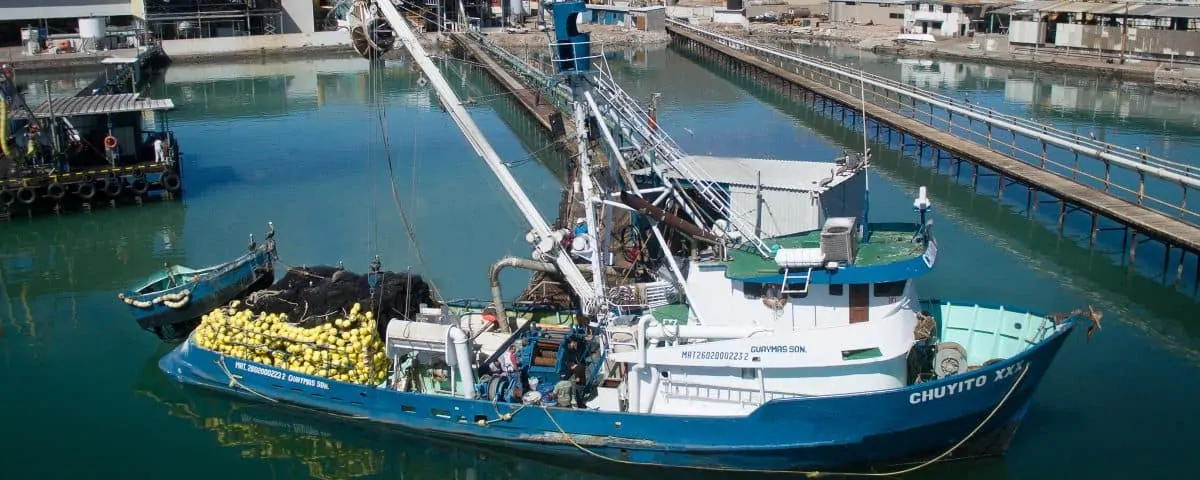 Read more about the article TH Company refits Mexican seiner
