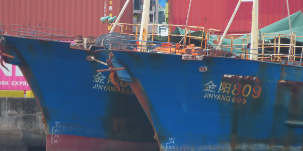 Read more about the article Laundering illegally caught fish for global markets