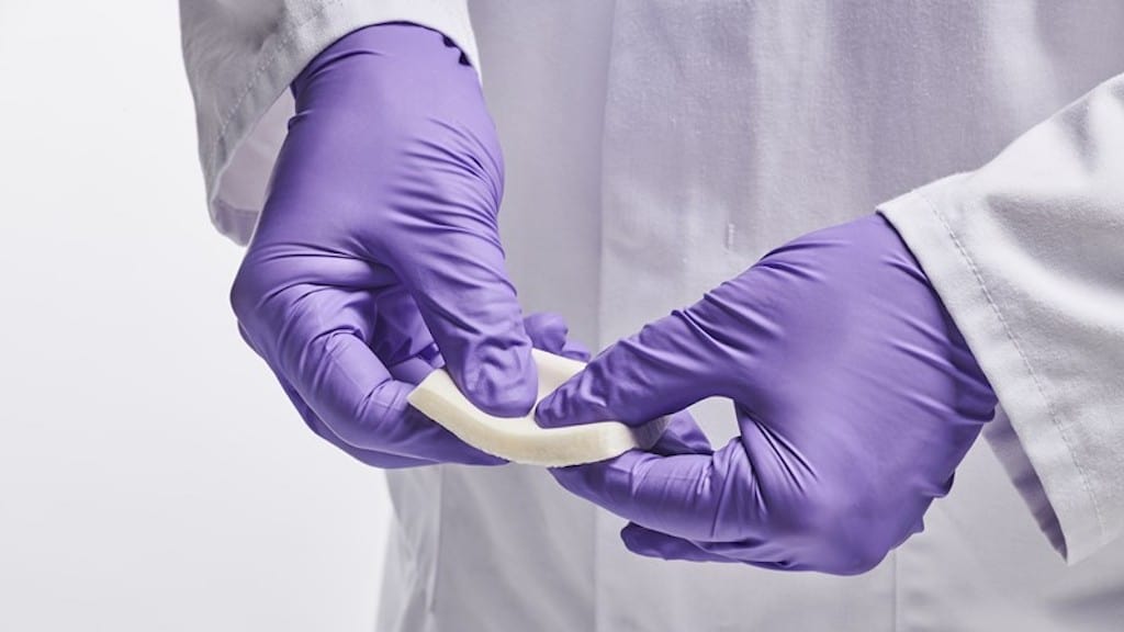 Read more about the article Thai Union invests in jellyfish collagen pioneer