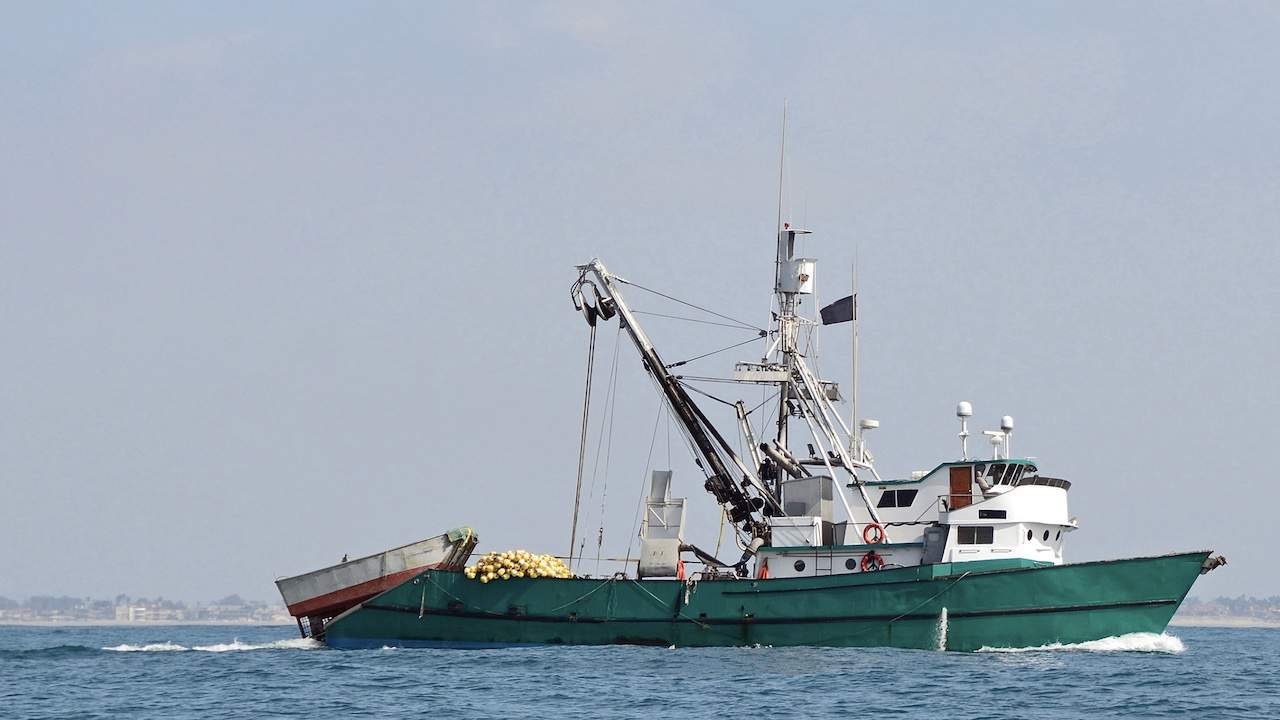 Read more about the article 200-million-dollar commitment to sustainability