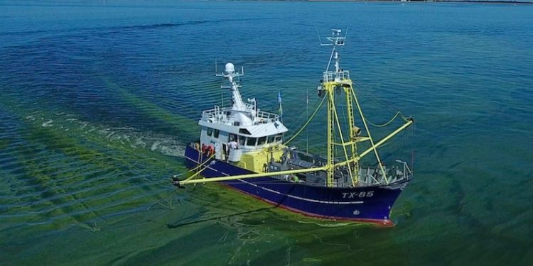 Texel shrimp trawler Bone Fide TX-65. Image: TCD - @ Fiskerforum