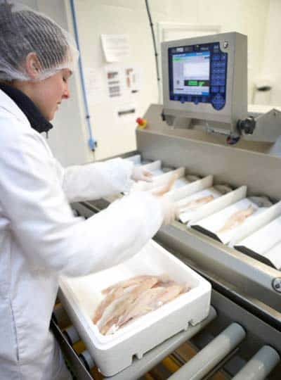 Read more about the article Whole fish batching at Elabo’Pack in France