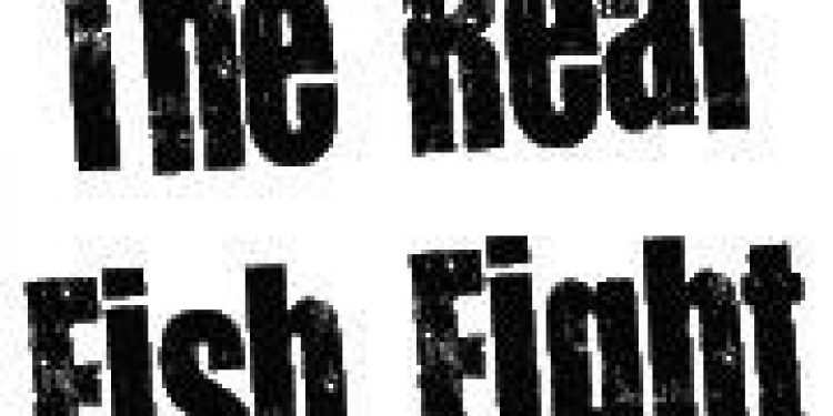 The real fish fight  Logo: The Real Fish Fight - @ Fiskerforum