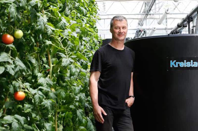 Read more about the article Tomatofish links fish and vegetables
