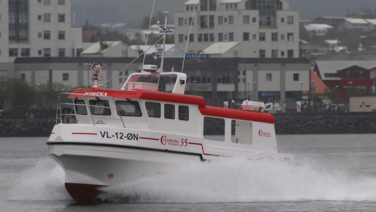 Read more about the article New Cleopatra fishing from Bergen