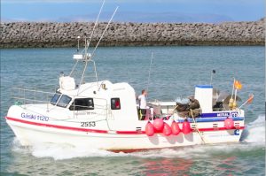 Groundfish prices have fallen dramatically in Iceland - @ Fiskerforum