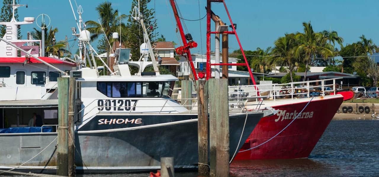 Read more about the article Australia’s eastern tuna and billfish fishery receives MSC certification