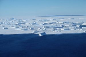 The loss of Antarctic sea ice could have huge effects on fisheries worldwide - @ Fiskerforum