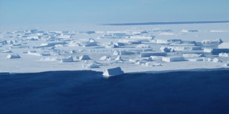 The loss of Antarctic sea ice could have huge effects on fisheries worldwide - @ Fiskerforum
