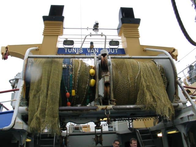 Read more about the article Atlantic deep sea fishing – MEPs call for bottom trawling ban in vulnerable areas
