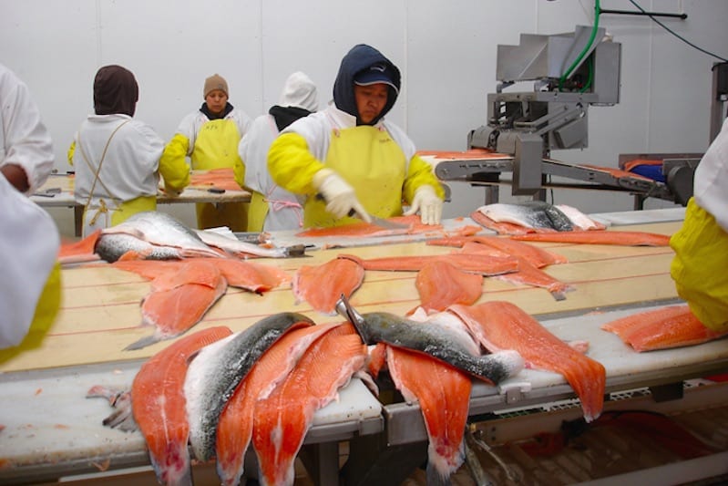 Read more about the article ‘US fisheries are big business’