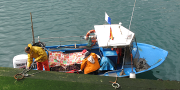 Steps towards a more balanced and competitive EU fisheries policy